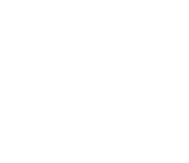 Talentum Program